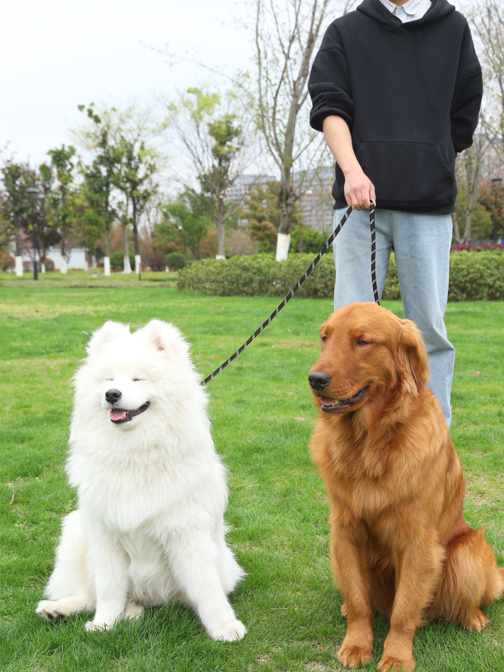 Reflective Dog Lead — Multi-Function, High-Vis