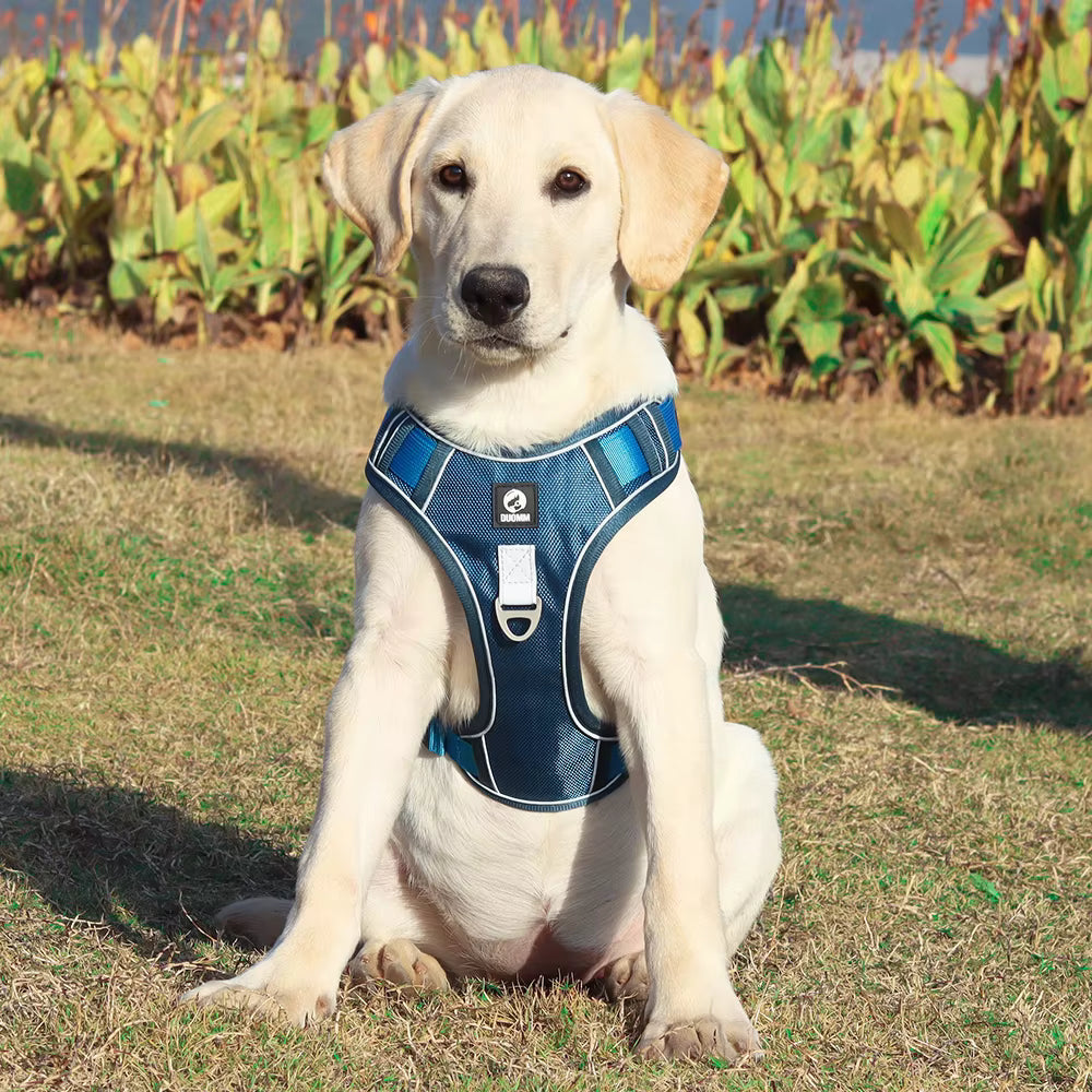 No-Pull Dog Harness — Reflective, Control Handle, Large Breeds