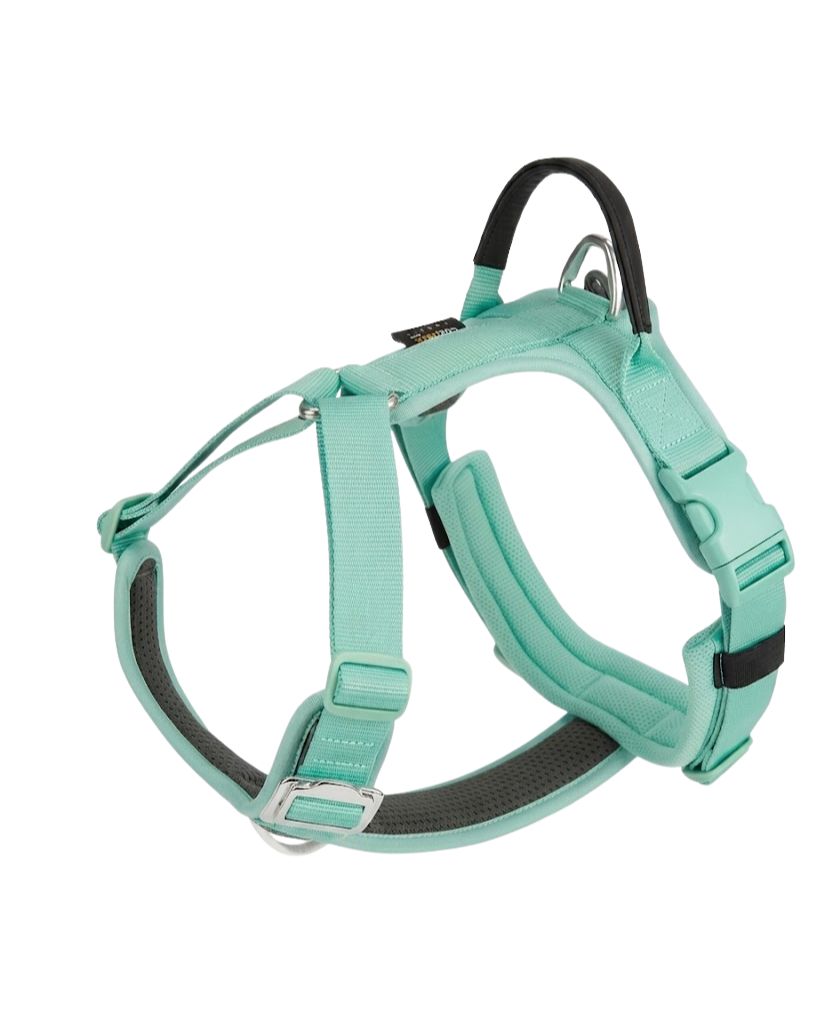 No-Pull Dog Harness & Lead — Breathable, Adjustable