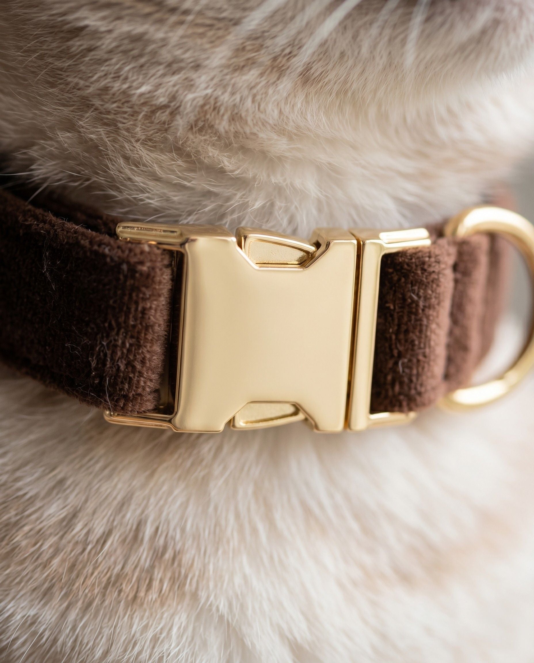 Personalised Velvet Dog Collar — Engraved Name Tag