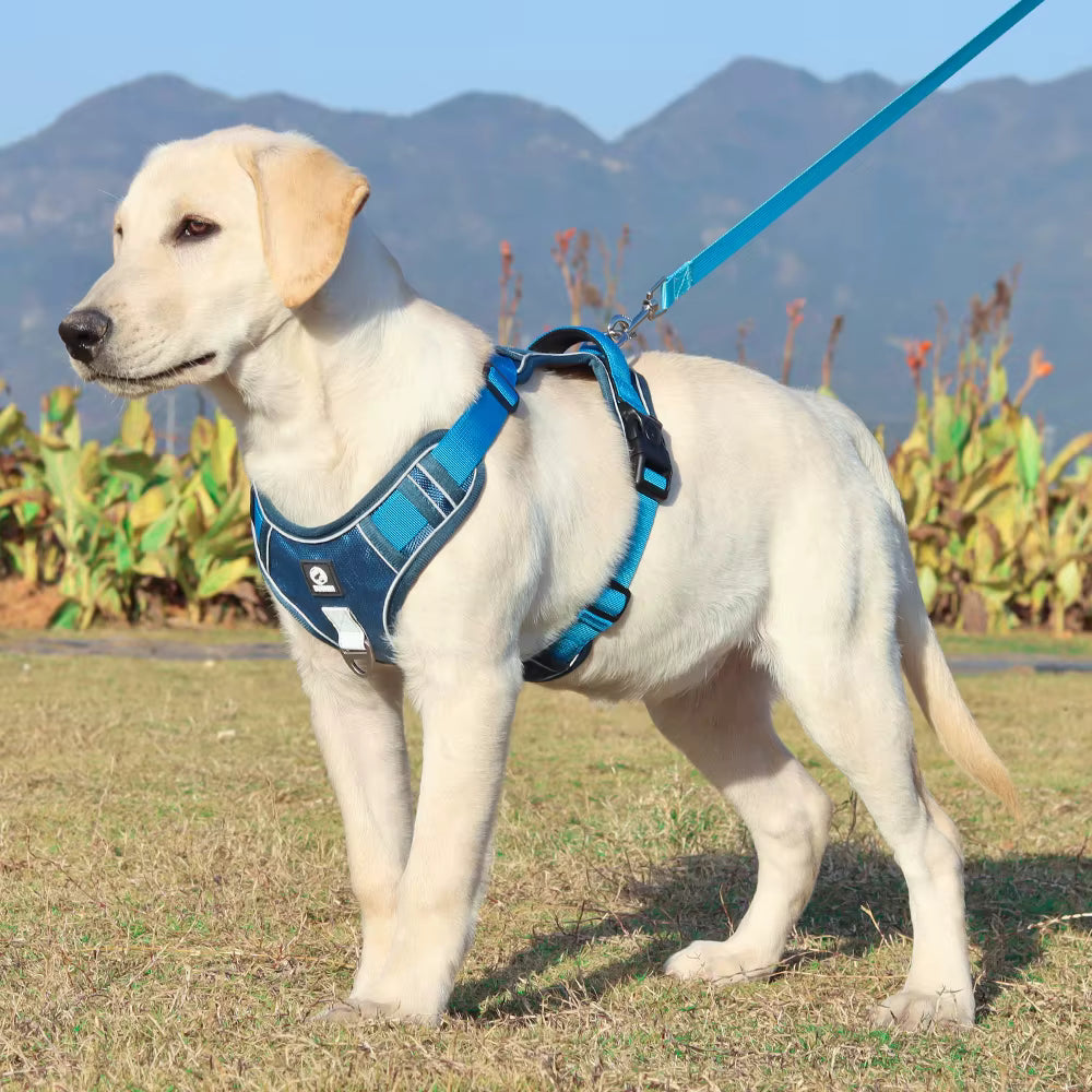 No-Pull Dog Harness — Reflective, Control Handle, Large Breeds