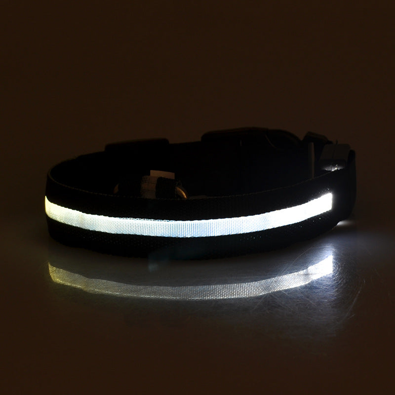 Glowing LED Dog Collar — Rechargeable, Night Safety - NEED VERIFICATION