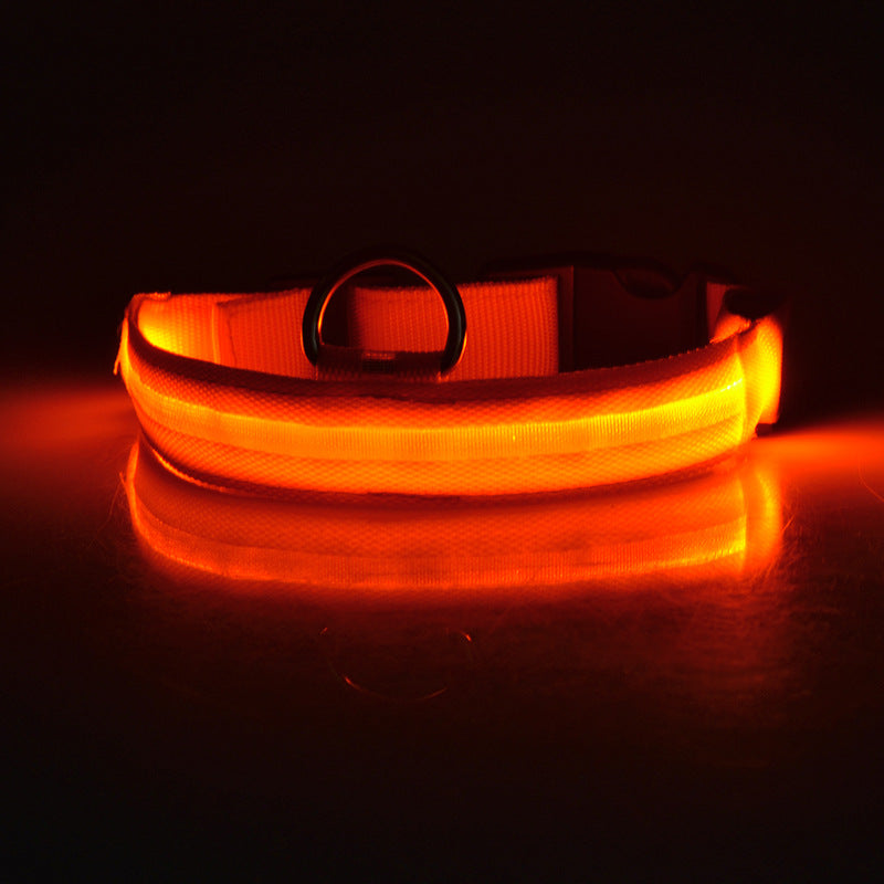 Glowing LED Dog Collar — Rechargeable, Night Safety - NEED VERIFICATION