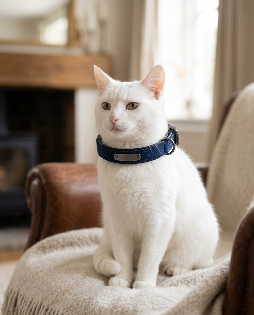 Engraved Microfibre Dog Collar — Anti-Loss