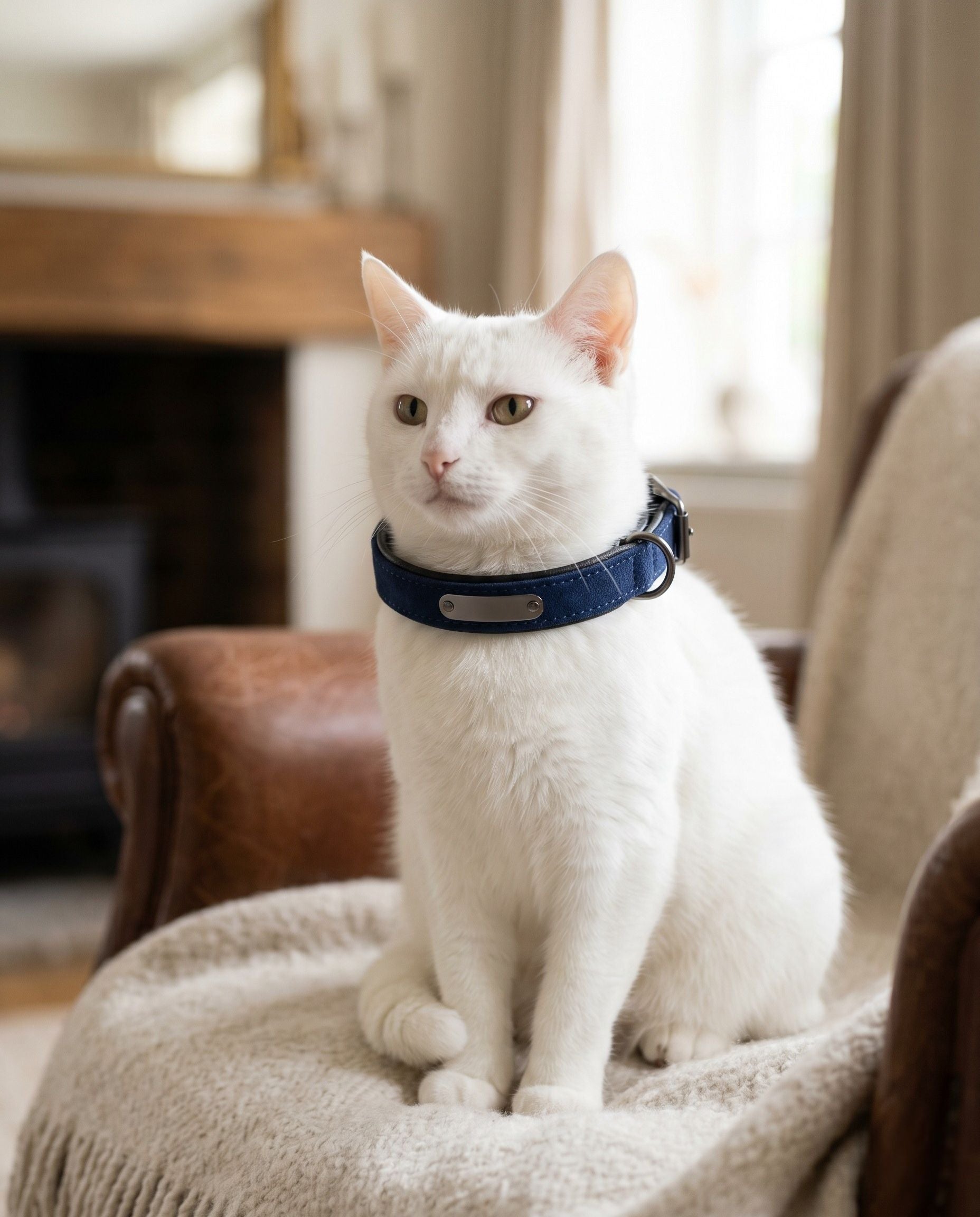 Engraved Microfibre Dog Collar — Anti-Loss