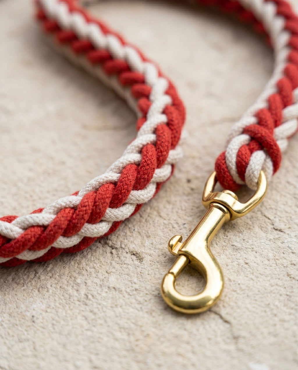 Braided Rope Dog Lead — 8-Strand, Soft Handle