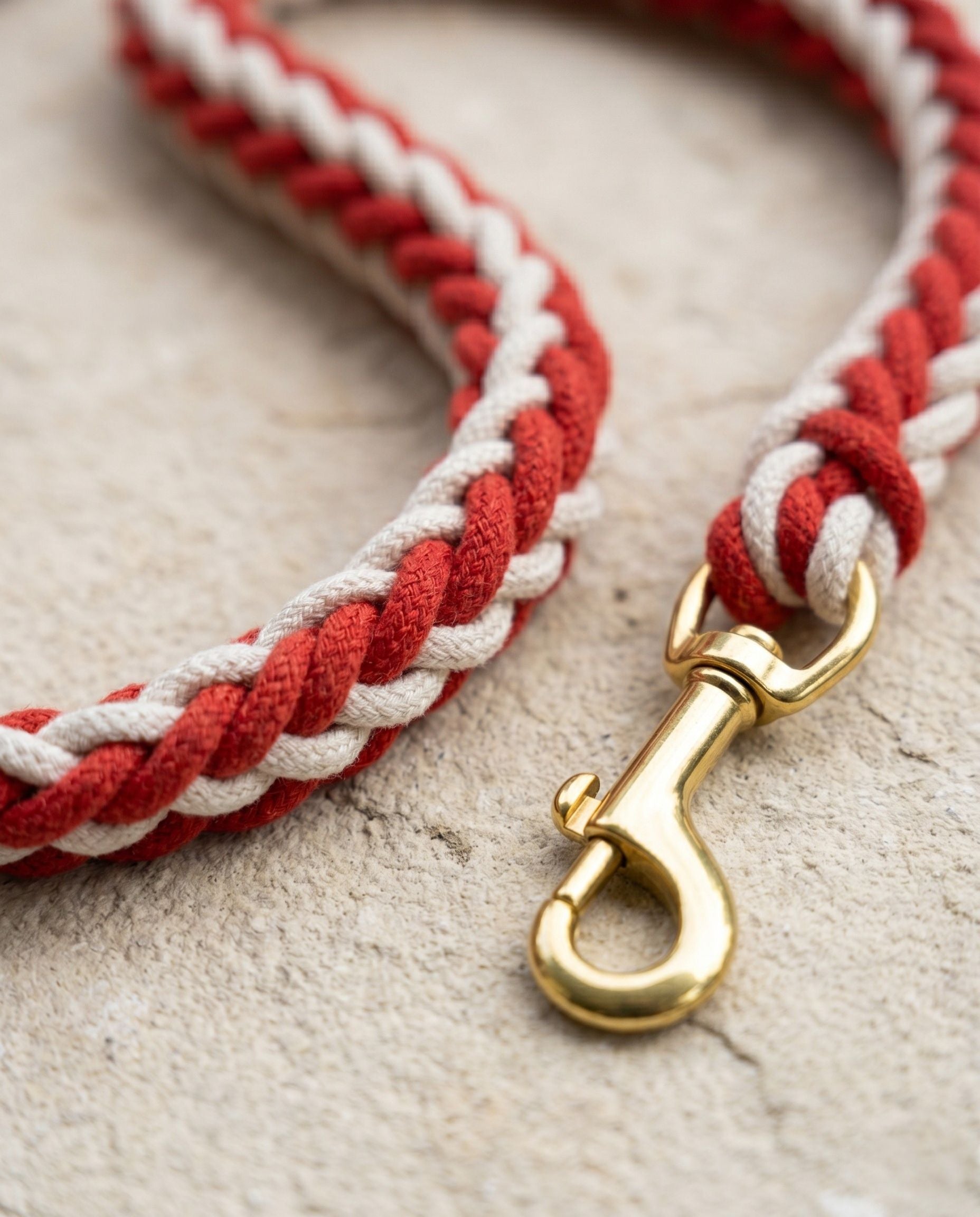 Braided Rope Dog Lead — 8-Strand, Soft Handle