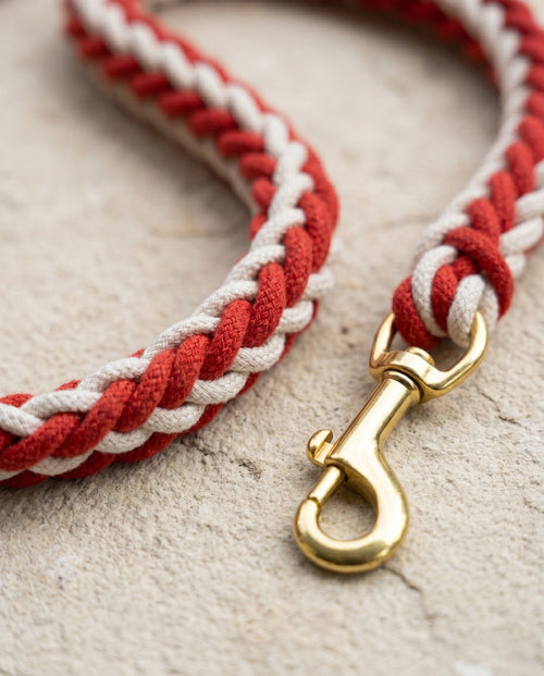 Braided Rope Dog Lead — 8-Strand, Soft Handle