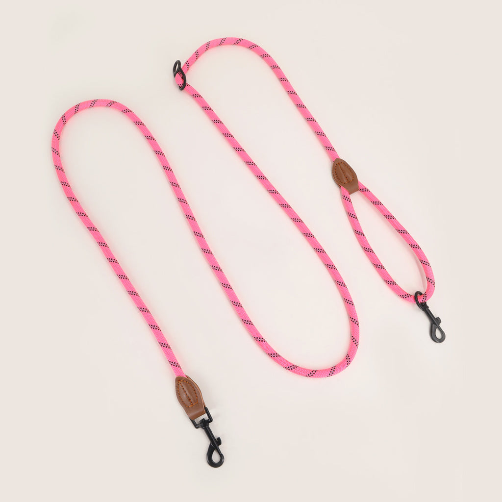 Reflective Dog Lead — Multi-Function, High-Vis