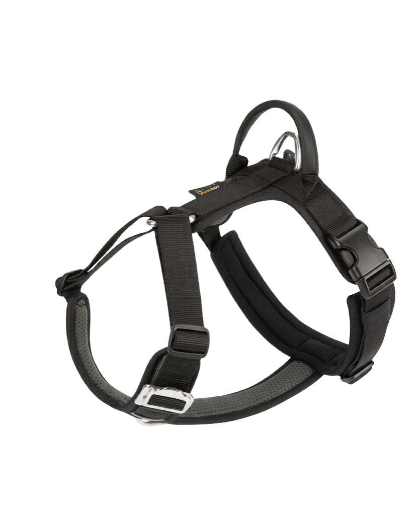 No-Pull Dog Harness & Lead — Breathable, Adjustable