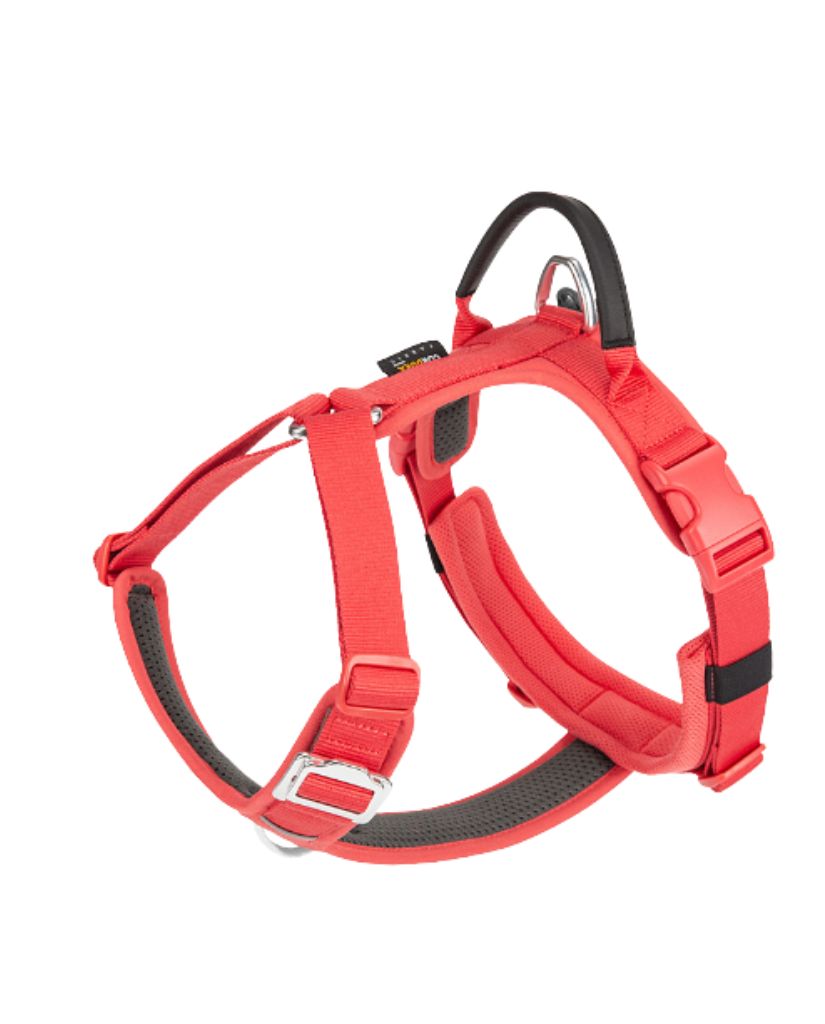 No-Pull Dog Harness & Lead — Breathable, Adjustable