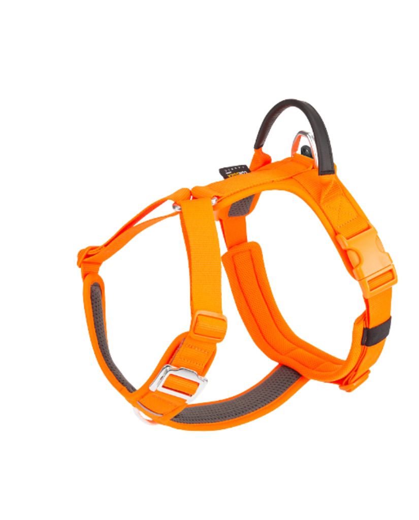 No-Pull Dog Harness & Lead — Breathable, Adjustable
