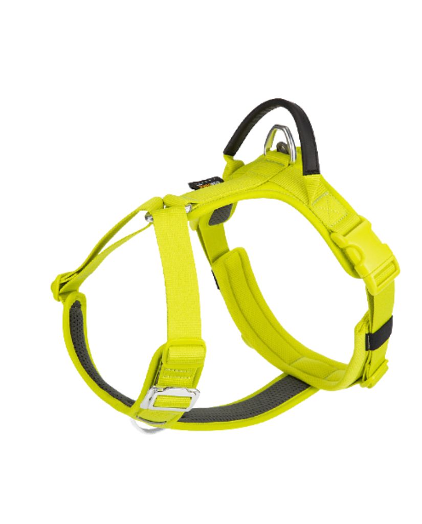 No-Pull Dog Harness & Lead — Breathable, Adjustable