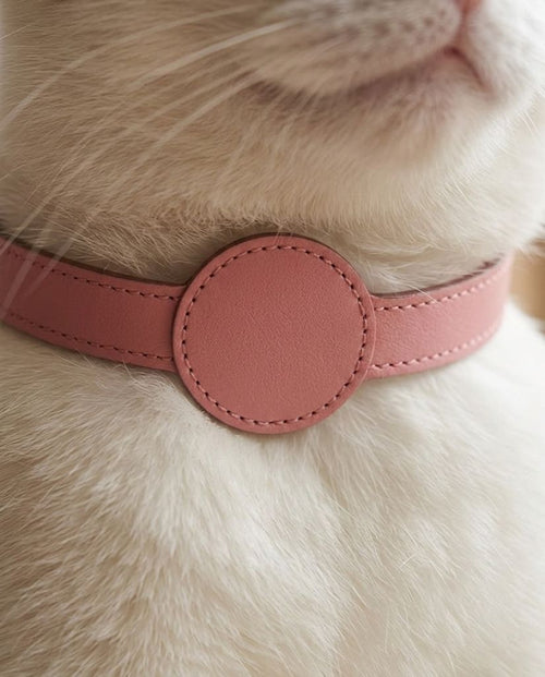 AirTag Leather Dog Collar — Personalised, Anti-Loss