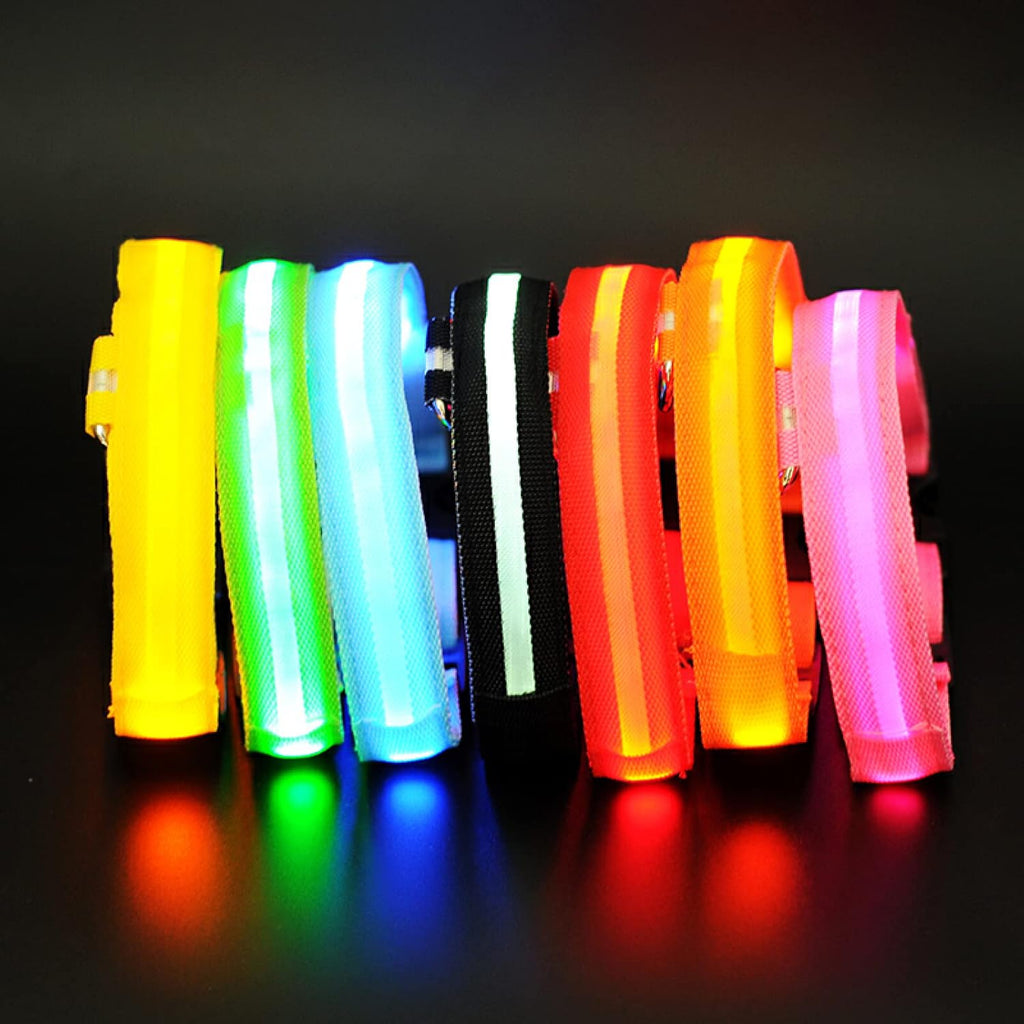 Glowing LED Dog Collar — Rechargeable, Night Safety - NEED VERIFICATION