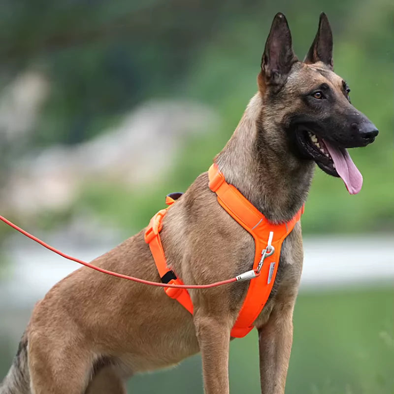 No-Pull Dog Harness & Lead — Breathable, Adjustable