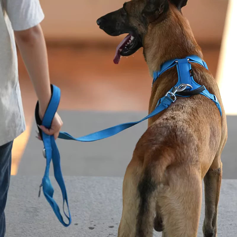 No-Pull Dog Harness & Lead — Breathable, Adjustable