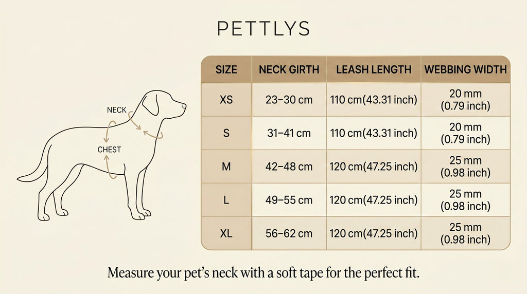 Personalised Velvet Dog Collar — Engraved Name Tag