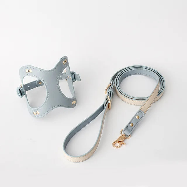 https://ae01.alicdn.com/kf/Sea18fcfac11e460883e9093ef70215f0d/Dog-Harness-Leash-Dog-Cat-Chest-Strap-Cat-Vest-Traction-Rope-Dog-Walking-Chain-Pet-Vest.jpg_640x640.jpg