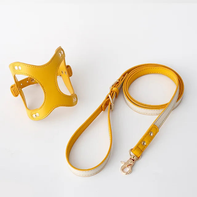 https://ae01.alicdn.com/kf/S9e1ae1d95ce04b5fb3651845af33e492a/Dog-Harness-Leash-Dog-Cat-Chest-Strap-Cat-Vest-Traction-Rope-Dog-Walking-Chain-Pet-Vest.jpg_640x640.jpg
