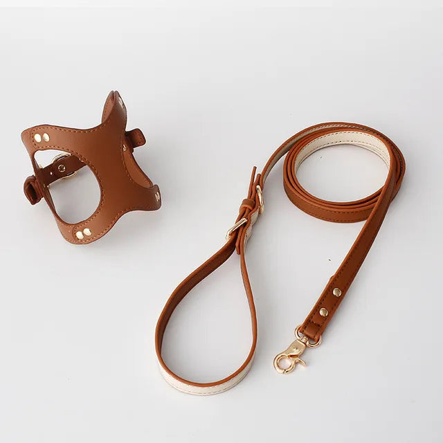 https://ae01.alicdn.com/kf/Seea170dfe6fd424ba3d981aacaaac732W/Dog-Harness-Leash-Dog-Cat-Chest-Strap-Cat-Vest-Traction-Rope-Dog-Walking-Chain-Pet-Vest.jpg_640x640.jpg