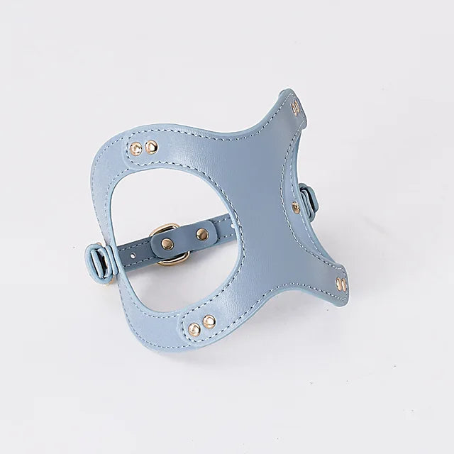 https://ae01.alicdn.com/kf/S9f455ea3dfbd4bdbbc3f5cac5d89203dR/Dog-Harness-Leash-Dog-Cat-Chest-Strap-Cat-Vest-Traction-Rope-Dog-Walking-Chain-Pet-Vest.jpg_640x640.jpg