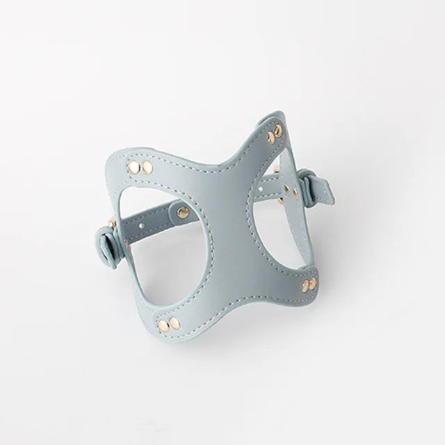 https://ae01.alicdn.com/kf/S651229a54f6c422dbf2545b4f63f910f6/Dog-Harness-Leash-Dog-Cat-Chest-Strap-Cat-Vest-Traction-Rope-Dog-Walking-Chain-Pet-Vest.jpg_640x640.jpg