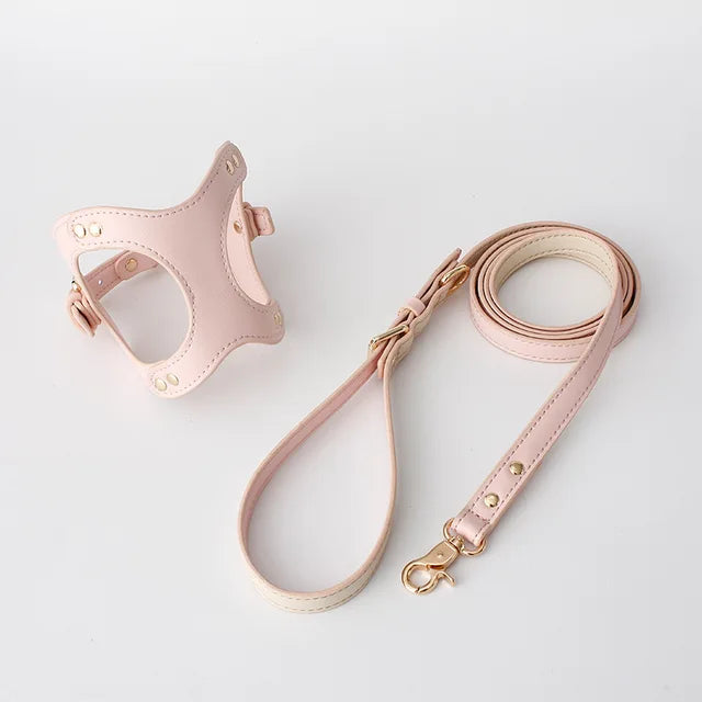 https://ae01.alicdn.com/kf/Sf09c06eedaf24cf591d01f391f02942fF/Dog-Harness-Leash-Dog-Cat-Chest-Strap-Cat-Vest-Traction-Rope-Dog-Walking-Chain-Pet-Vest.jpg_640x640.jpg