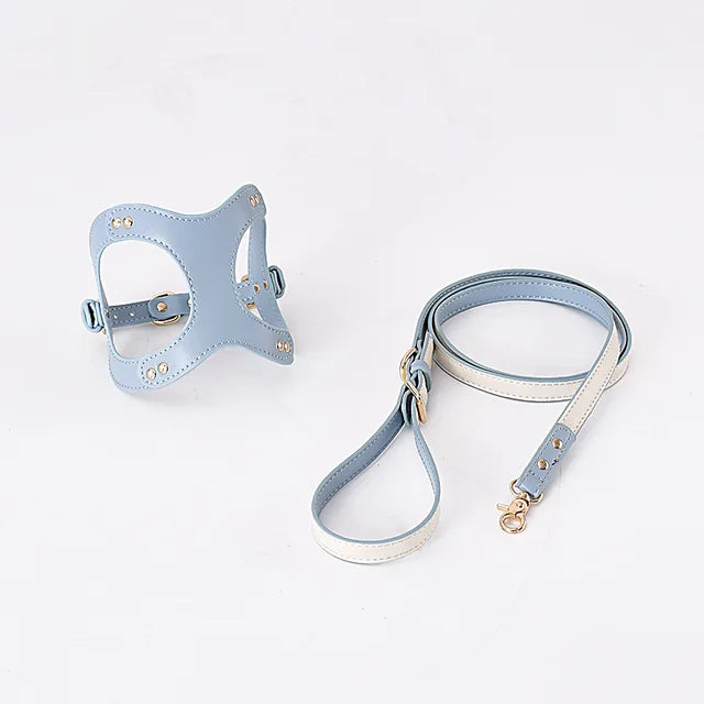 https://ae01.alicdn.com/kf/S3109fdb7364e4afa86ffee356f9c9281x/Dog-Harness-Leash-Dog-Cat-Chest-Strap-Cat-Vest-Traction-Rope-Dog-Walking-Chain-Pet-Vest.jpg_640x640.jpg