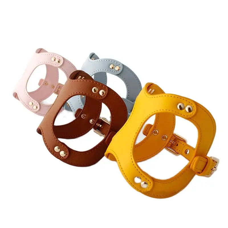 https://ae01.alicdn.com/kf/Sae6de04769ab4dac95dcfc13a3bf12d8G/Dog-Harness-Leash-Dog-Cat-Chest-Strap-Cat-Vest-Traction-Rope-Dog-Walking-Chain-Pet-Vest.jpg