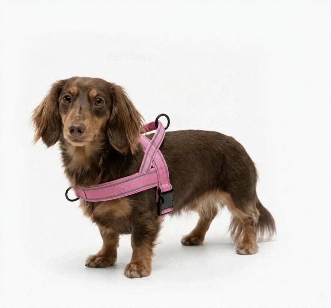 Comfort Dog Harness