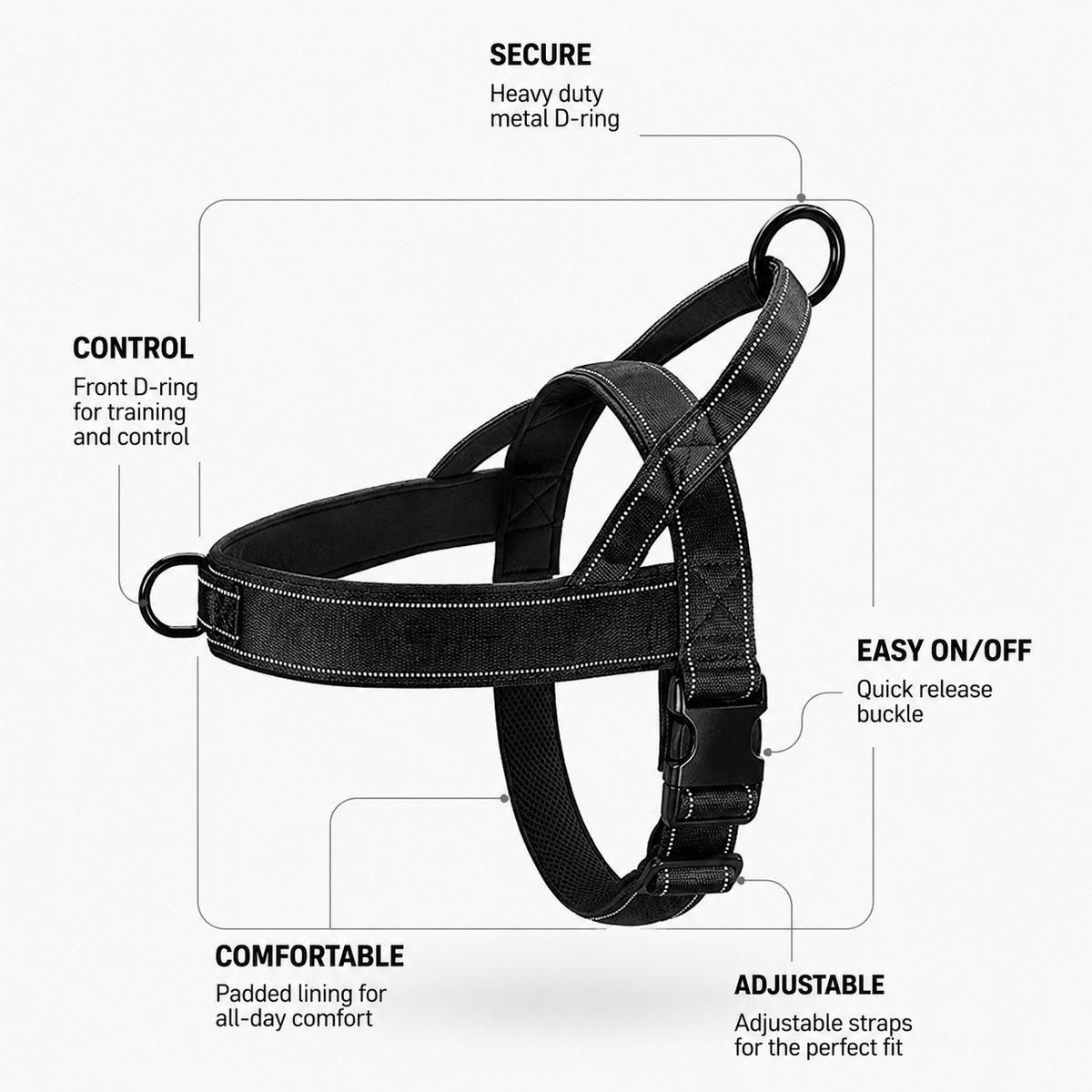 Everything your dog needs for a happy walk