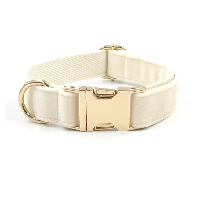 https://ae01.alicdn.com/kf/S1026a35827af4b8d9aaa9da74e9131de5/Personalized-Dog-Collar-Velvet-Pet-Necklace-Adjutable-Customized-ID-Tag-Engraving-Super-Soft-Dog-Accessories-With.jpg_640x640.jpg