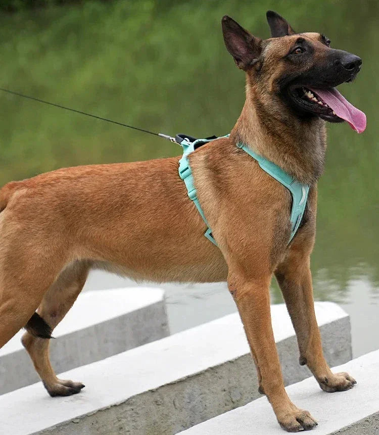 No-Pull Dog Harness & Lead — Breathable, Adjustable