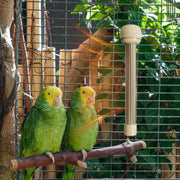 Auto Thermostat Heated Bird Perch Safe Warmer Stand with Anti Bite Design for Parakeets Conure Parrots Nighttime Winter Supplies