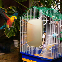 Auto Thermostat Heated Bird Perch Safe Warmer Stand with Anti Bite Design for Parakeets Conure Parrots Nighttime Winter Supplies