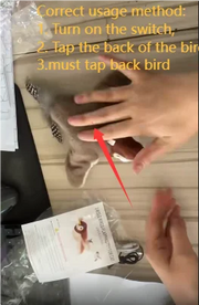 Hot Simulated Bird Cat Toy Interactive Toys Dog Rechargeable Chirping Flapping Bird(no Flying) Touch Activated Plush Toy Pet