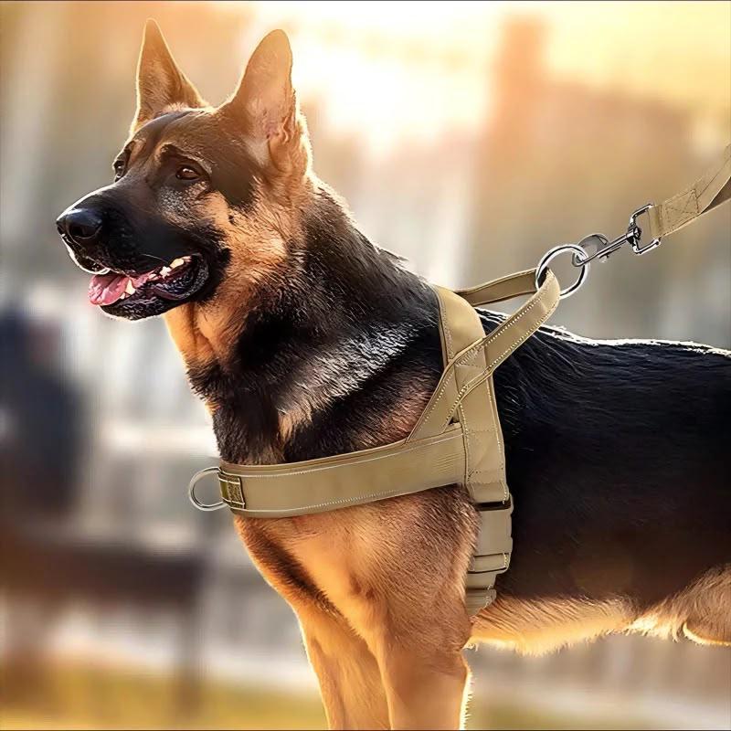 Comfort Dog Harness
