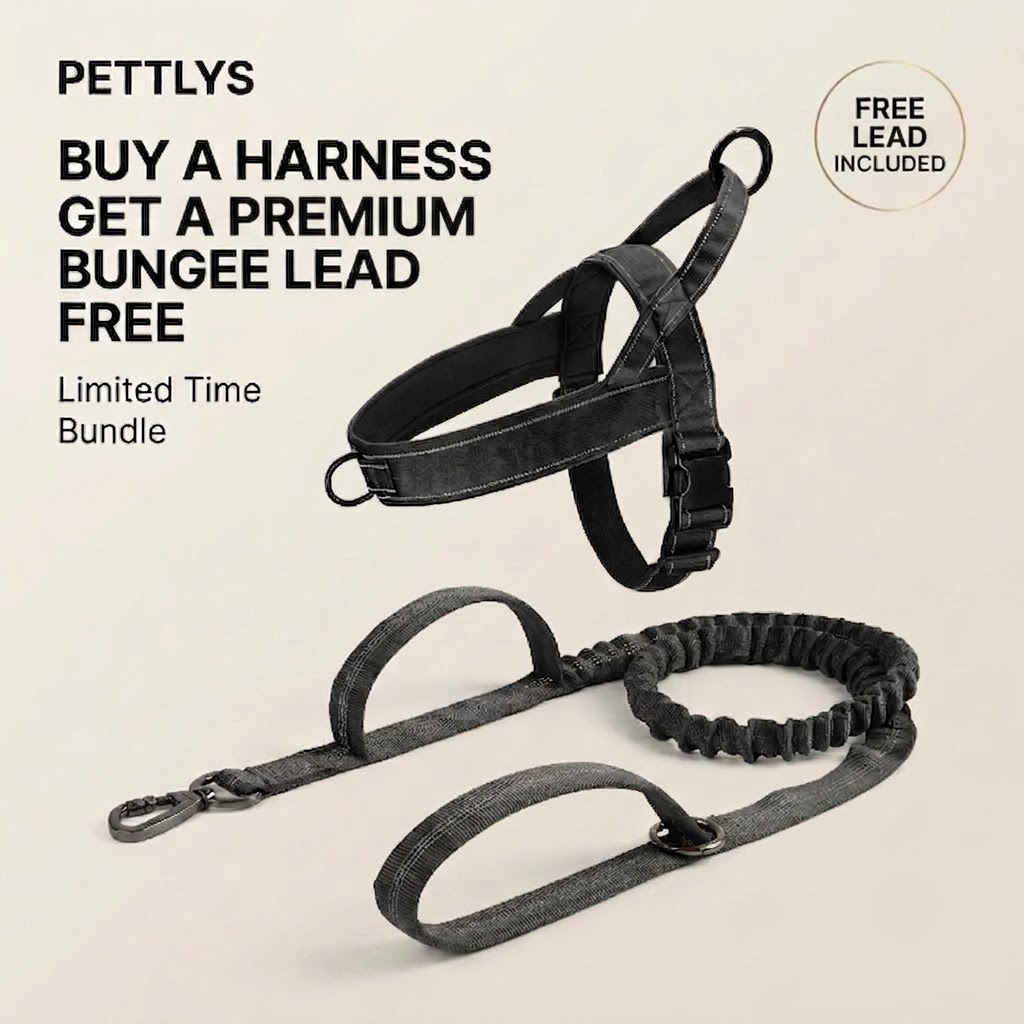 Comfort Dog Harness
