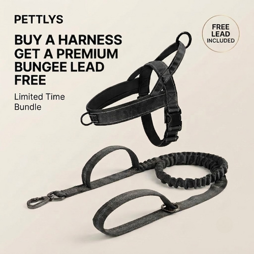 Comfort Dog Harness