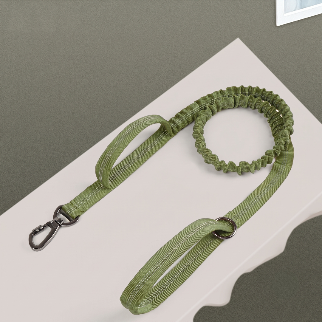 Premium Bungee Lead