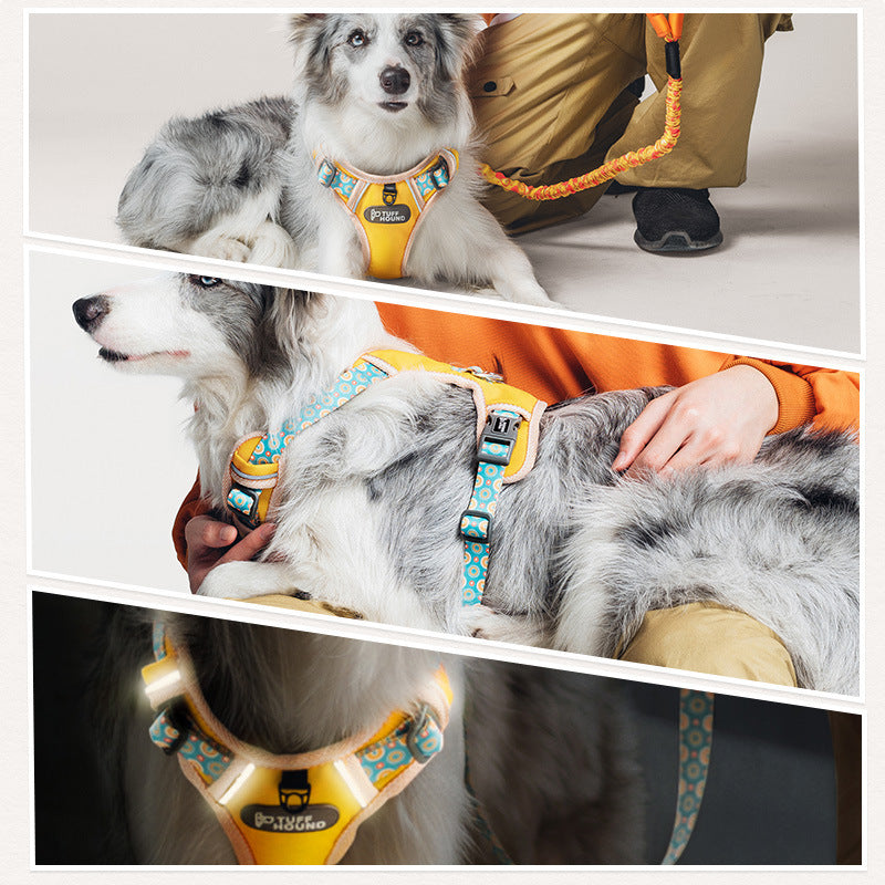 Padded Dog Harness & Lead — Reflective, All Breeds